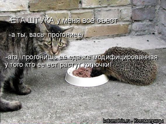 -ЕТА ШТУКА у меня все съест -ага, прогонишь её еда же модифицированная -а ты, вась, прогониеё у того ... Котоматрица: -ЕТА ШТУКА у меня все съест -ага, прогонишь её еда же модифицированная -а ты, вась, прогониеё у того кто ее ест растут колючки!