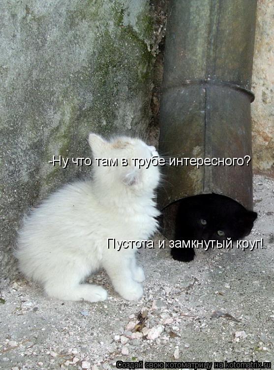 -Ну что там в трубе интересного? Пустота и замкнутый круг!... Котоматрица: -Ну что там в трубе интересного? Пустота и замкнутый круг!