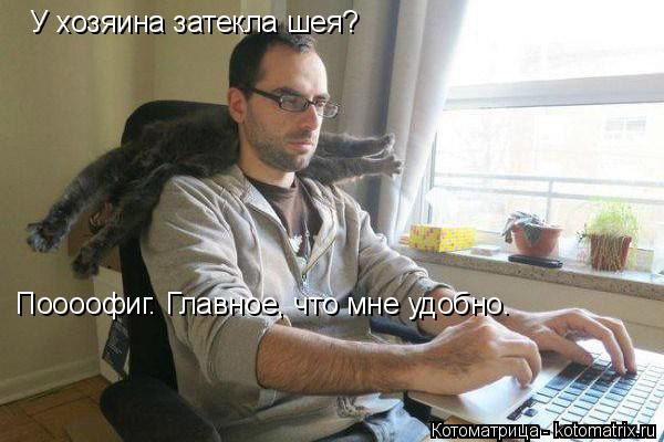 У хозяина затекла шея? Поооофиг. Главное, что мне удобно.... Котоматрица: У хозяина затекла шея? Поооофиг. Главное, что мне удобно.