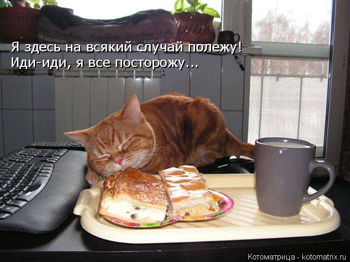 Я здесь на всякий случай полежу! Иди-иди, я все посторожу...... Котоматрица: Я здесь на всякий случай полежу! Иди-иди, я все посторожу...