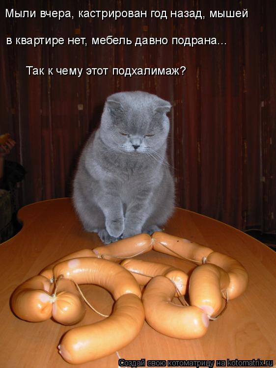 в квартире нет, мебель давно подрана... Так к чему этот подхалимаж? Мыли вчера, кастрирован год назад... Котоматрица: в квартире нет, мебель давно подрана... Так к чему этот подхалимаж? Мыли вчера, кастрирован год назад, мышей