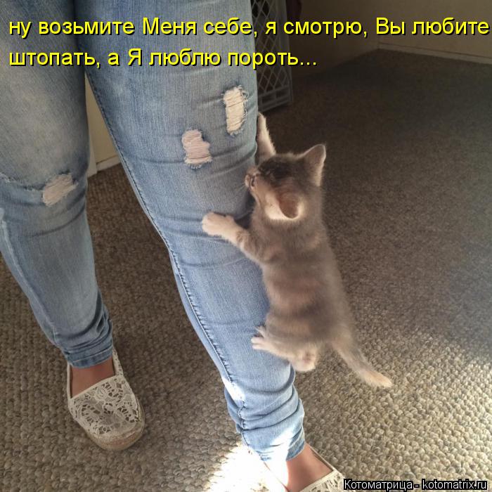 ну возьмите Меня себе, я смотрю, Вы любите штопать, а Я люблю пороть...... Котоматрица: ну возьмите Меня себе, я смотрю, Вы любите штопать, а Я люблю пороть...