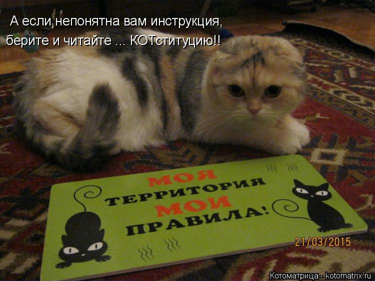 А если непонятна вам инструкция, берите и читайте ... КОТституцию!!... Котоматрица: А если непонятна вам инструкция, берите и читайте ... КОТституцию!!