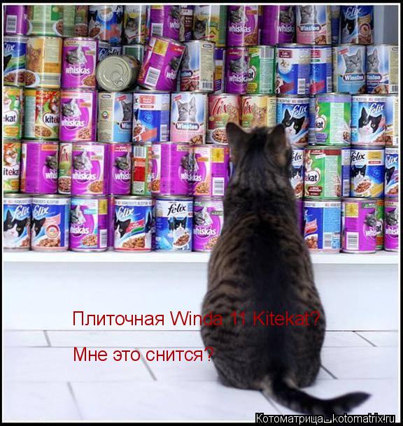 Плиточная Winda 11 Kitekat? Мне это снится?... Котоматрица: Плиточная Winda 11 Kitekat? Мне это снится?