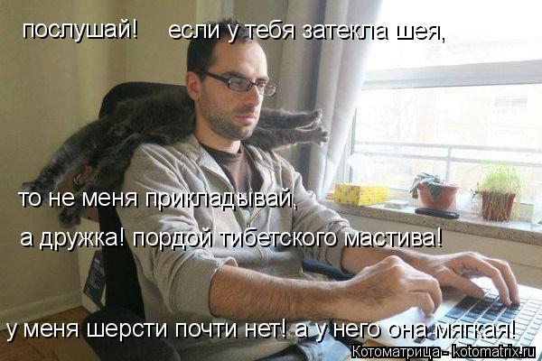 послушай! если у тебя затекла шея, то не меня прикладывай, а дружка! пордой тибетского мастива! у ме... Котоматрица: послушай! если у тебя затекла шея, то не меня прикладывай, а дружка! пордой тибетского мастива! у меня шерсти почти нет! а у него она мягкая!