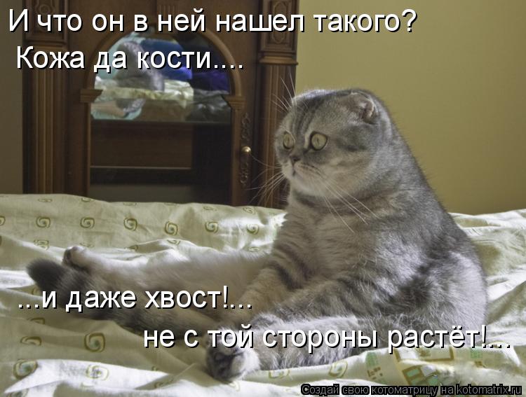 И что он в ней нашел такого? Кожа да кости.... ...и даже хвост!... не с той стороны растёт!...... Котоматрица: И что он в ней нашел такого? Кожа да кости.... ...и даже хвост!... не с той стороны растёт!...