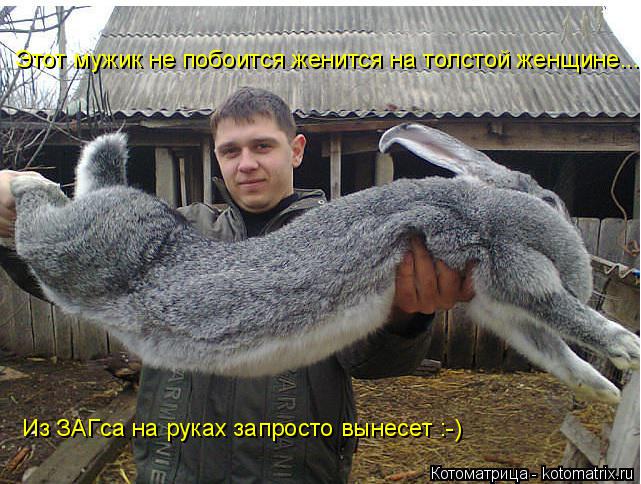 Этот мужик не побоится женится на толстой женщине... Из ЗАГса на руках запросто вынесет :-)... Котоматрица: Этот мужик не побоится женится на толстой женщине... Из ЗАГса на руках запросто вынесет :-)