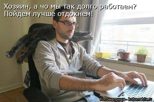 Хозяин, а чо мы так долго работаем? Пойдем лучше отдохнем!... Котоматрица: Хозяин, а чо мы так долго работаем? Пойдем лучше отдохнем!