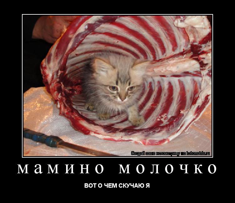Котоматрица: мамино молочко ВОТ О ЧЕМ СКУЧАЮ Я