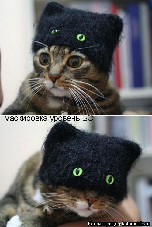 маскировка уровень:БОГ... Котоматрица: маскировка уровень:БОГ
