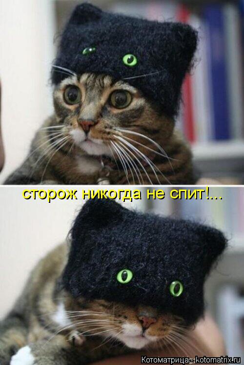 Котоматрица: сторож никогда не спит!...