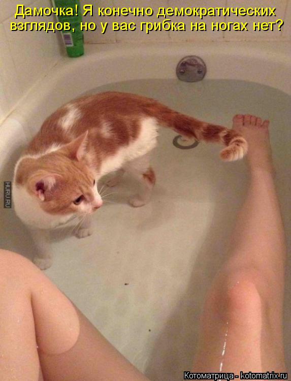 Котоматрица: Дамочка! Я конечно демократических взглядов, но у вас грибка на ногах нет?