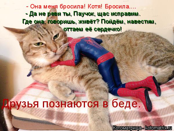 - Она меня бросила! Котя! Бросила.... - Да не реви ты, Паучок, щас исправим. Где она, говоришь, живё... Котоматрица: - Она меня бросила! Котя! Бросила.... - Да не реви ты, Паучок, щас исправим. Где она, говоришь, живёт? Пойдём, навестим, оттаем её сердечко! Друзь