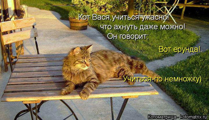 Котоматрица: Кот Вася,учиться ужасно! что ахнуть даже можно! Он говорит: Вот ерунда! Учиться-по немножку)