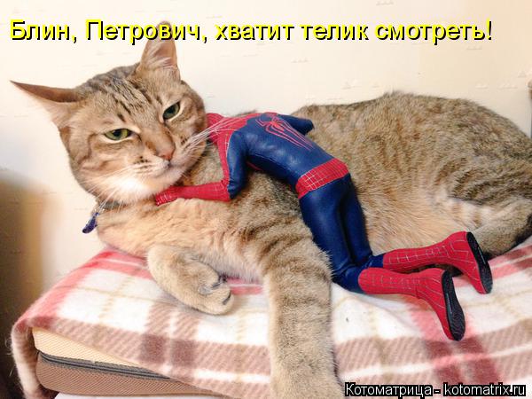Котоматрица: Блин, Петрович, хватит телик смотреть!