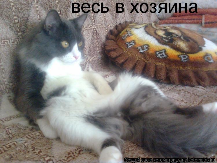 весь в хозяина... Котоматрица: весь в хозяина
