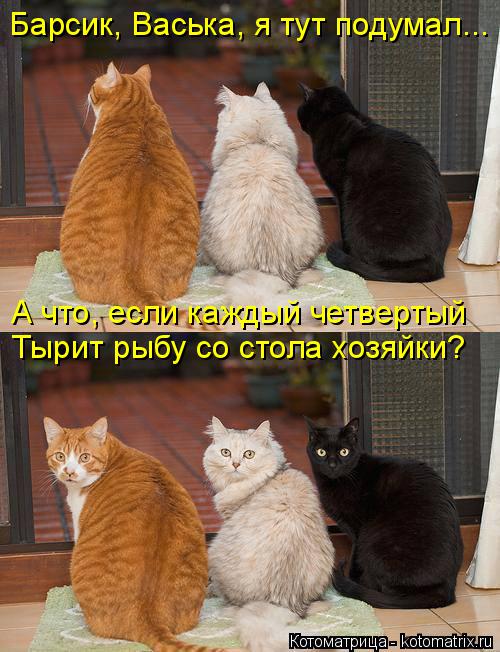 Барсик, Васька, я тут подумал... А что, если каждый четвертый Тырит рыбу со стола хозяйки?... Котоматрица: Барсик, Васька, я тут подумал... А что, если каждый четвертый Тырит рыбу со стола хозяйки?