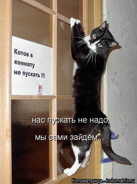 Котоматрица: нас пускать не надо, мы сами зайдём...