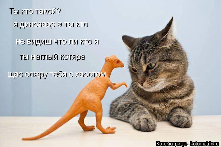 Котоматрица: Ты кто такой? я динозавр а ты кто не видиш что ли кто я щас сожру тебя с хвостом ты наглый котяра