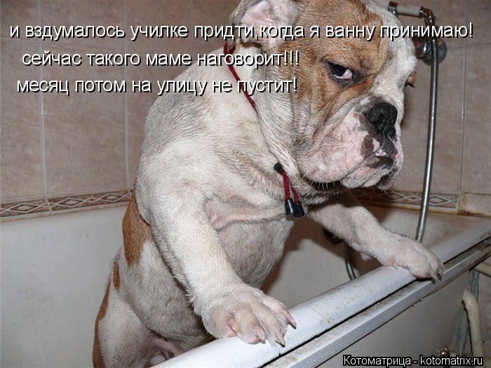сейчас такого маме наговорит!!! месяц потом на улицу не пустит! и вздумалось училке придти,когда я ва... Котоматрица: сейчас такого маме наговорит!!! месяц потом на улицу не пустит! и вздумалось училке придти,когда я ванну принимаю!
