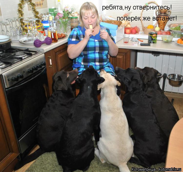 ребята,ну отвернитесь! поперёк же встанет!... Котоматрица: ребята,ну отвернитесь! поперёк же встанет!