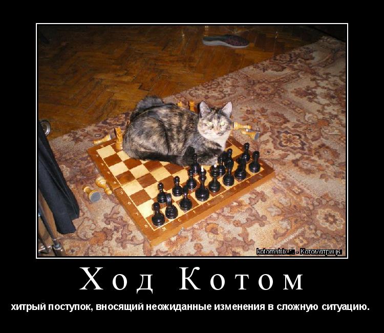 Ход Котом хитрый поступок, вносящий неожиданные изменения в сложную ситуацию. ... Котоматрица: Ход Котом хитрый поступок, вносящий неожиданные изменения в сложную ситуацию.