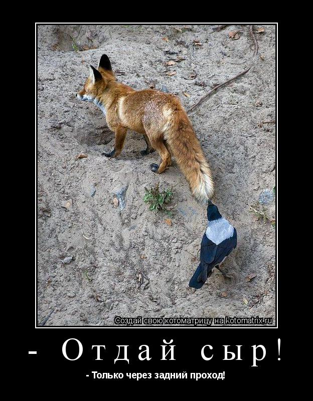 Котоматрица: - Отдай сыр! - Только через задний проход!