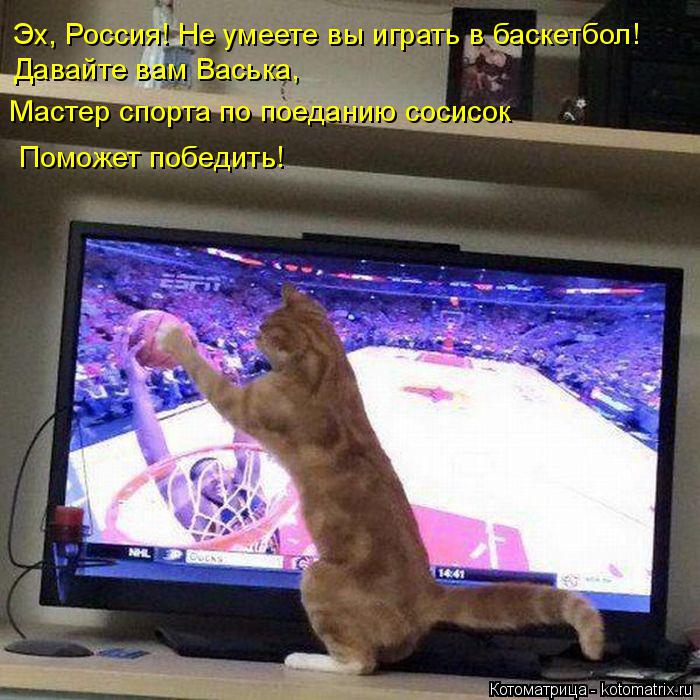 Котоматрица: Эх, Россия! Не умеете вы играть в баскетбол! Давайте вам Васька, Мастер спорта по поеданию сосисок Поможет победить!