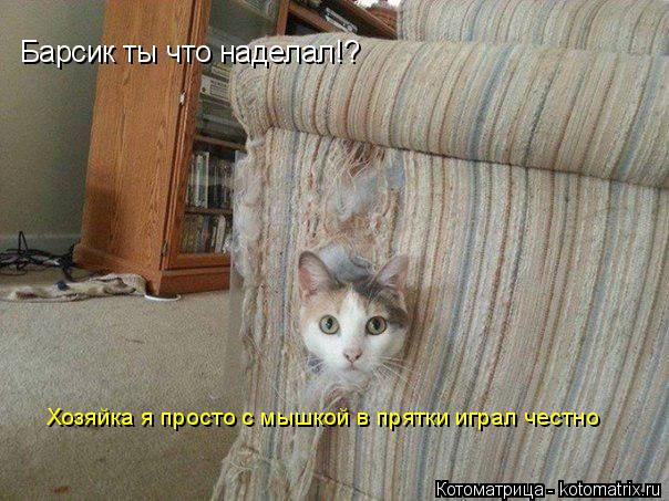 Котоматрица: Барсик ты что наделал!? Хозяйка я просто с мышкой в прятки играл честно