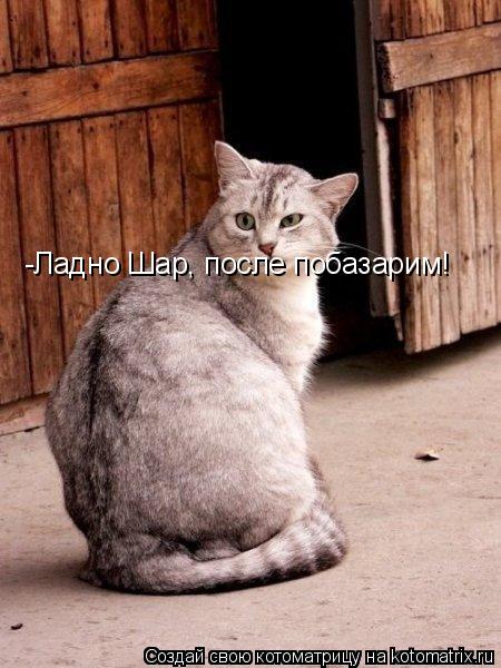Котоматрица: -Ладно Шар, после побазарим!
