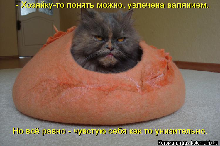 Котоматрица: Но всё равно - чувстую себя как то унизительно. - Хозяйку-то понять можно, увлечена валянием.