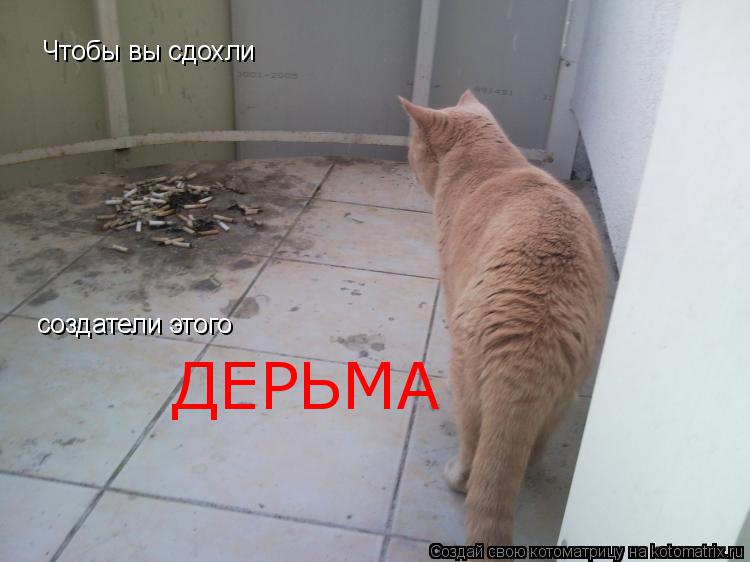 Котоматрица: Чтобы вы сдохли создатели этого ДЕРЬМА