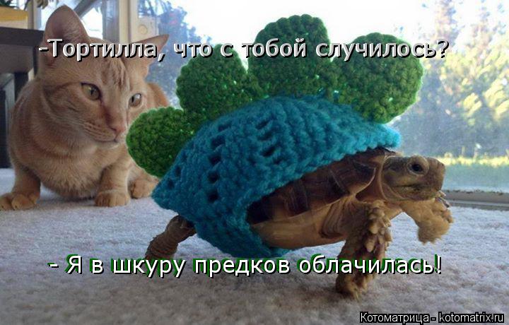 Котоматрица: -Тортилла, что с тобой случилось? -Тортилла, что с тобой случилось? - Я в шкуру предков облачилась! - Я в шкуру предков облачилась!