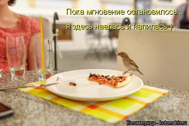 Котоматрица: Пока мгновение остановилось... я здесь наелась и напилась:) ...