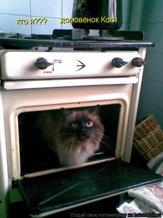 Котоматрица: кто я??? домовёнок Котя