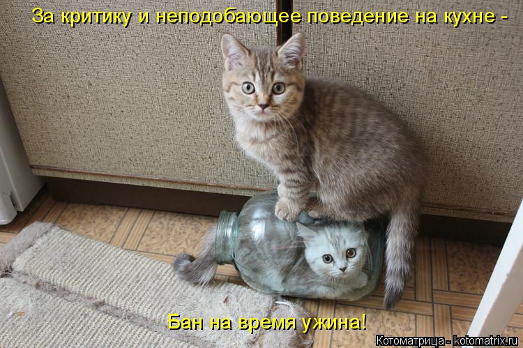 Котоматрица: За критику и неподобающее поведение на кухне - Бан на время ужина!