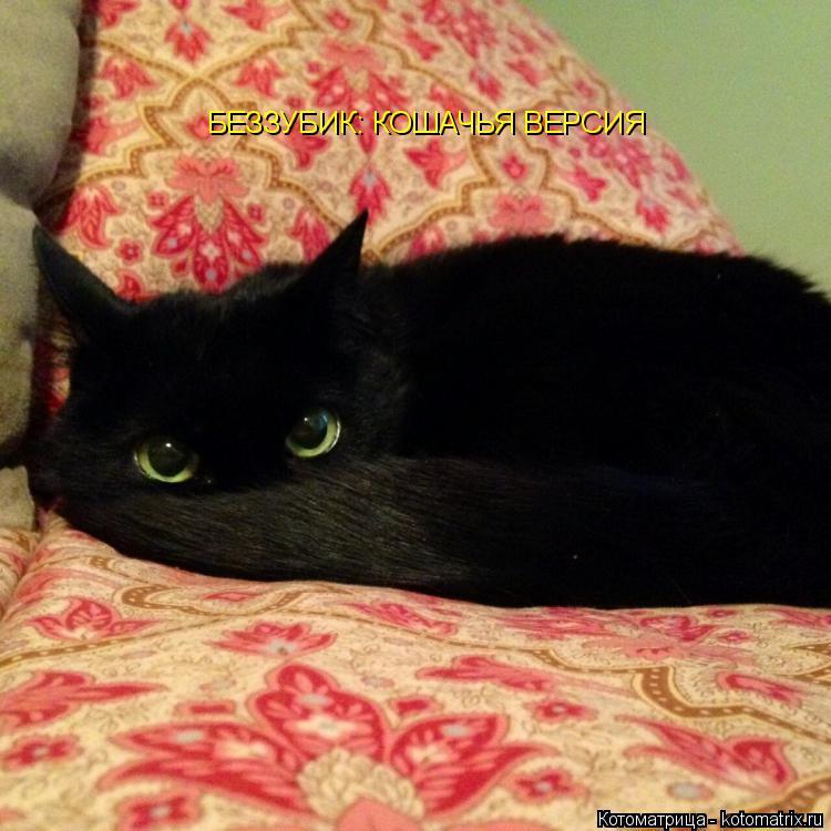 Котоматрица: БЕЗЗУБИК: КОШАЧЬЯ ВЕРСИЯ