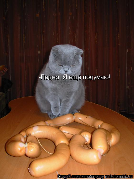 Котоматрица: -Ладно..Я ещё подумаю!