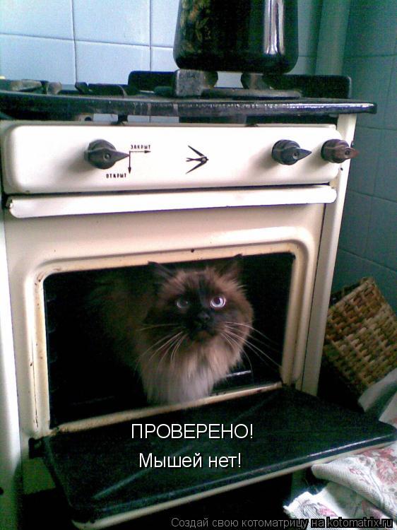 Котоматрица: ПРОВЕРЕНО! Мышей нет!