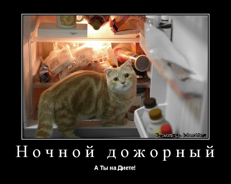 Котоматрица: Ночной дожорный А Ты на Диете!
