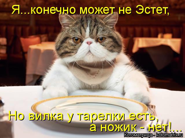 Котоматрица: Я...конечно может не Эстет, Но вилка у тарелки есть, а ножик - нет!...