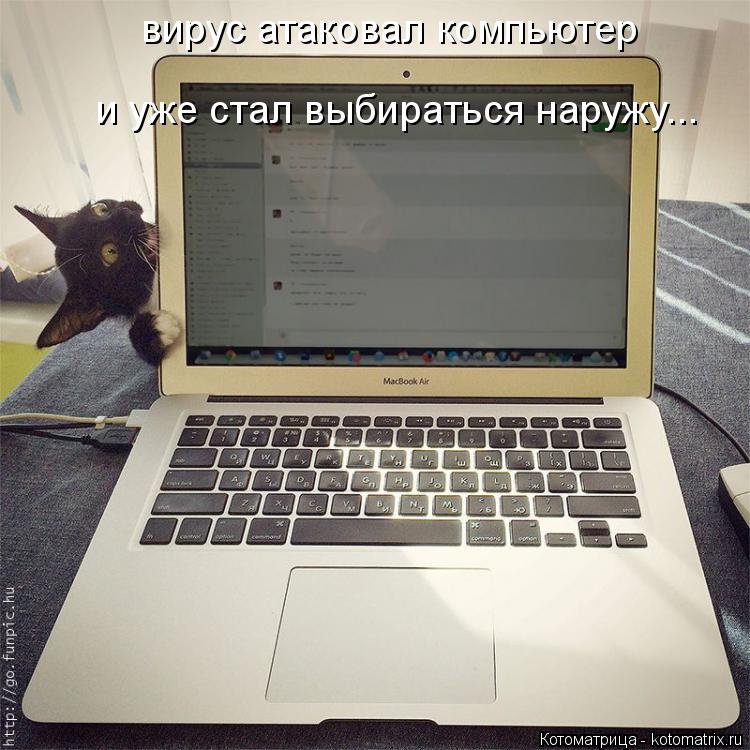 Котоматрица: вирус атаковал компьютер  и уже стал выбираться наружу...