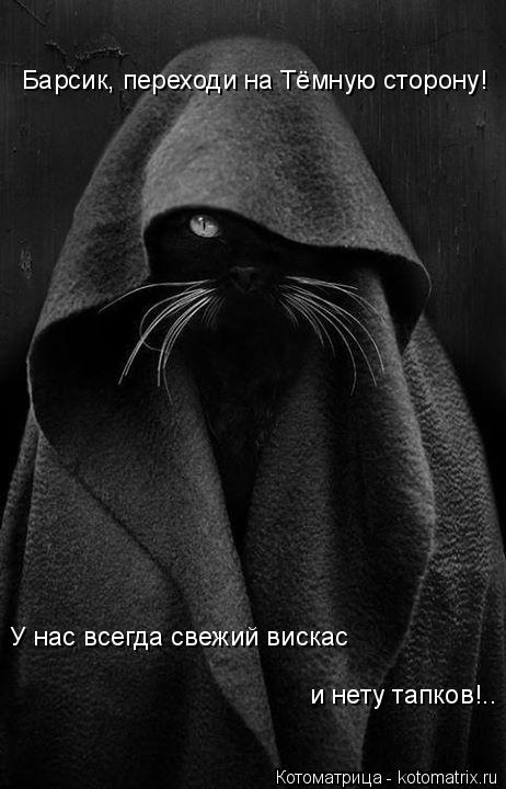 Котоматрица: Барсик, переходи на Тёмную сторону! У нас всегда свежий вискас и нету тапков!..