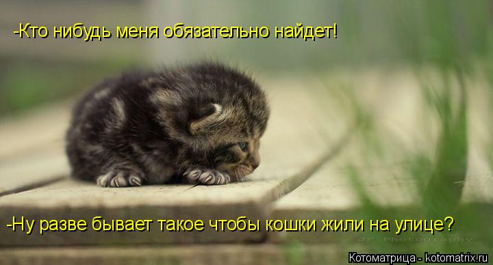 Котоматрица: -Кто нибудь меня обязательно найдет! -Ну разве бывает такое чтобы кошки жили на улице?