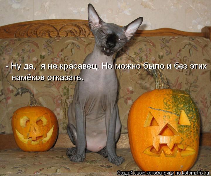 Котоматрица: - Ну да,  я не красавец. Но можно было и без этих намёков отказать.