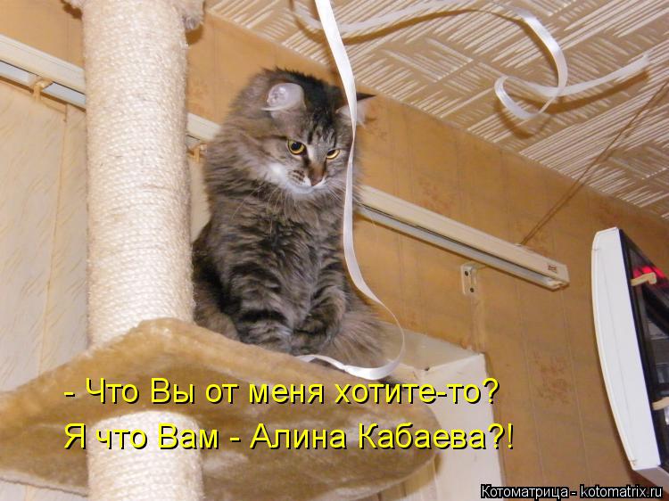 Котоматрица: - Что Вы от меня хотите-то? Я что Вам - Алина Кабаева?!