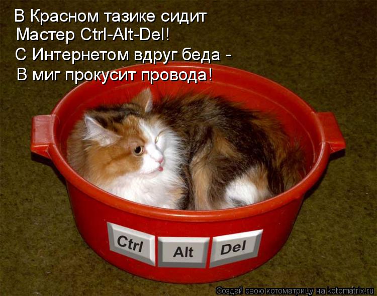 Котоматрица: В Красном тазике сидит Мастер Ctrl-Alt-Del! С Интернетом вдруг беда -  В миг прокусит провода!