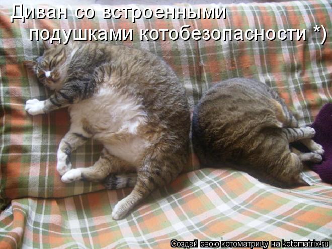 Котоматрица: Диван со встроенными подушками котобезопасности *)