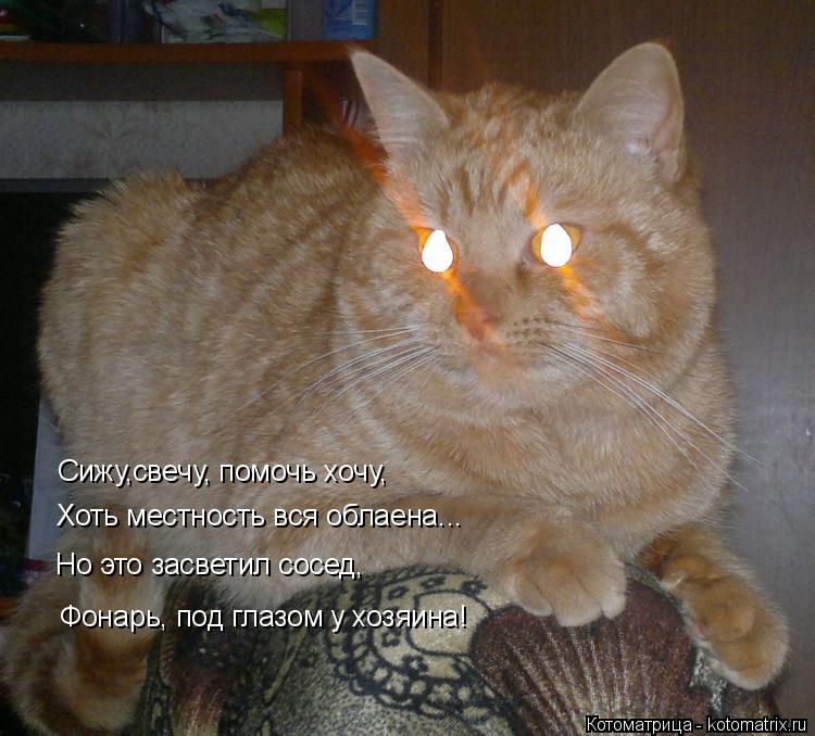 Котоматрица: Сижу,свечу, помочь хочу, Хоть местность вся облаена... Но это засветил сосед, Фонарь, под глазом у хозяина!