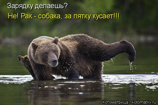 Котоматрица: Зарядку делаешь? Не! Рак - собака, за пятку кусает!!!